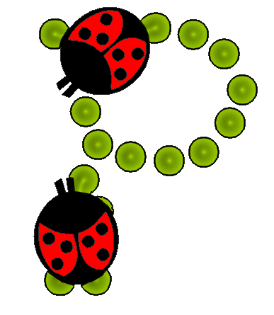 coccinnel-65566565-16.png