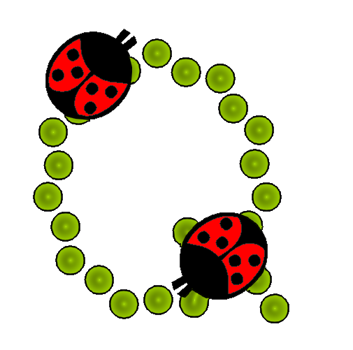 coccinnel-65566565-17.png