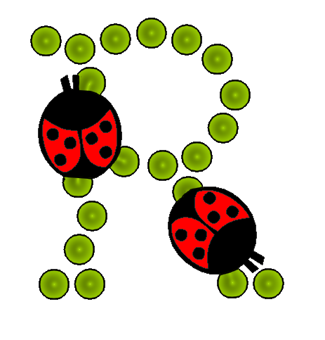 coccinnel-65566565-18.png