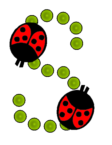 coccinnel-65566565-19.png