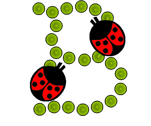 coccinnel-65566565-2.png