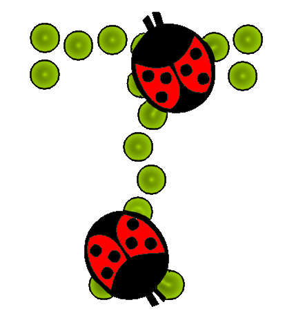 coccinnel-65566565-20.png