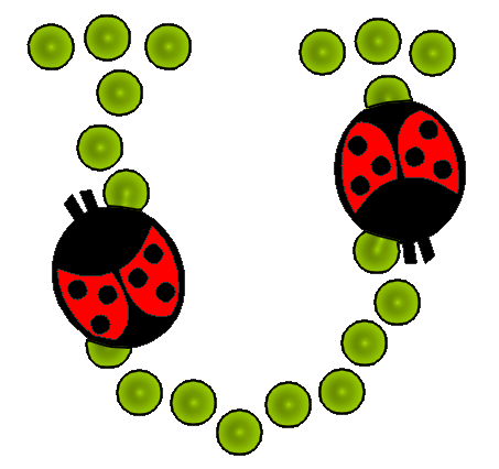 coccinnel-65566565-21.png