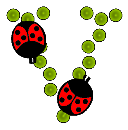 coccinnel-65566565-22.png