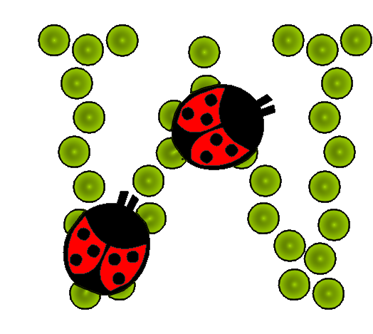 coccinnel-65566565-23.png