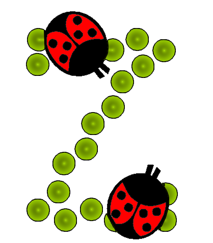 coccinnel-65566565-26.png