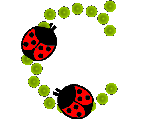 coccinnel-65566565-3.png