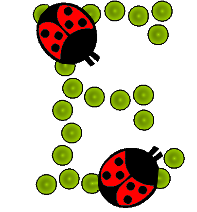 coccinnel-65566565-5.png