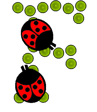 coccinnel-65566565-6.png