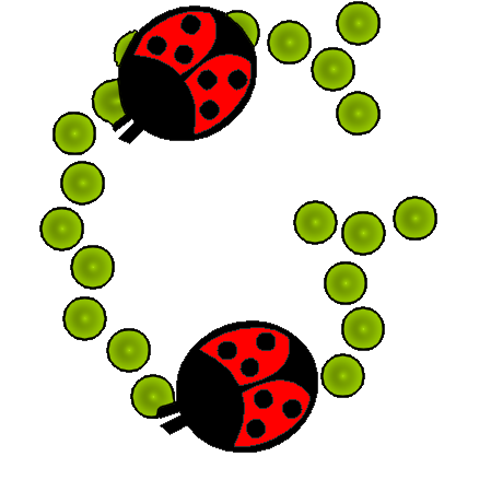 coccinnel-65566565-7.png