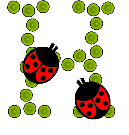 coccinnel-65566565-8.png