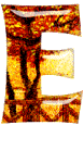 cocher3232-5.gif