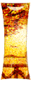 cocher3232-9.gif