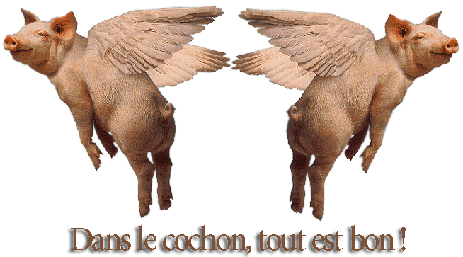 cochon-68.gif