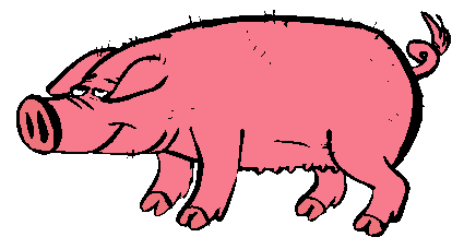 cochon-69.gif