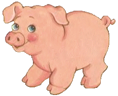 cochon-8111543.gif