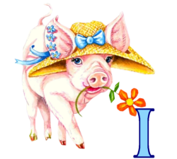 cochon-89987978-9.png