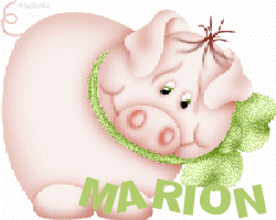 cochon_rubanvert_marion.gif