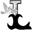 colombe45549549-12.gif