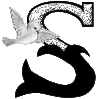 colombe45549549-19.gif