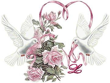 colombe8349239-12.gif