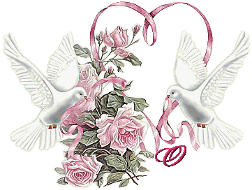 colombe8349239-15.gif