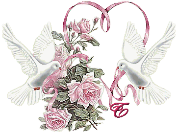 colombe8349239-20.gif