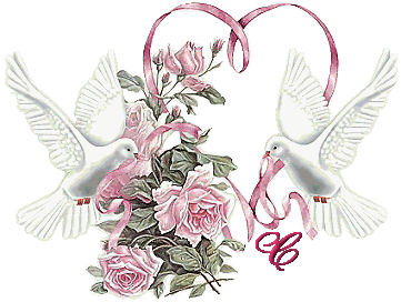 colombe8349239-3.gif