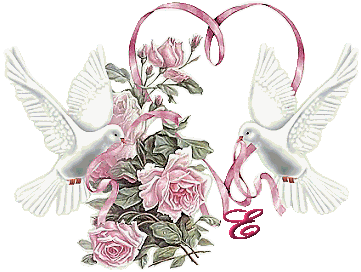 colombe8349239-5.gif