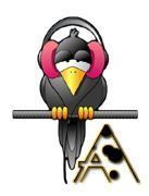 corbeau-5567888455-1.jpg