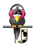 corbeau-5567888455-10.jpg