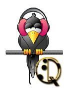 corbeau-5567888455-17.jpg