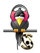 corbeau-5567888455-19.jpg