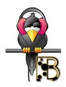 corbeau-5567888455-2.jpg