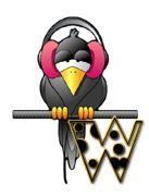 corbeau-5567888455-23.jpg