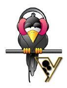 corbeau-5567888455-25.jpg