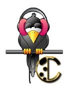 corbeau-5567888455-3.jpg