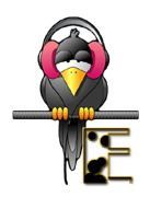 corbeau-5567888455-5.jpg