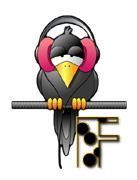 corbeau-5567888455-6.jpg