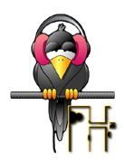 corbeau-5567888455-8.jpg