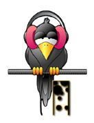 corbeau-5567888455-9.jpg