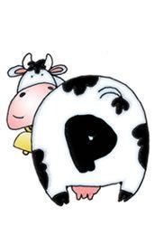 cow_p1.jpg