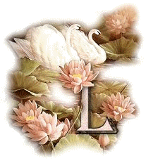 cqs1318358063c.gif