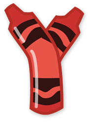 craie-9887676665-25.png