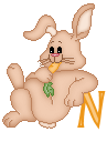 cutebunny--N.gif