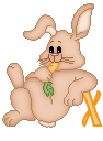 cutebunny--X.gif
