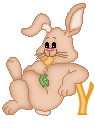 cutebunny--Y.gif