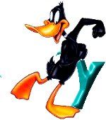 daffy.jpg