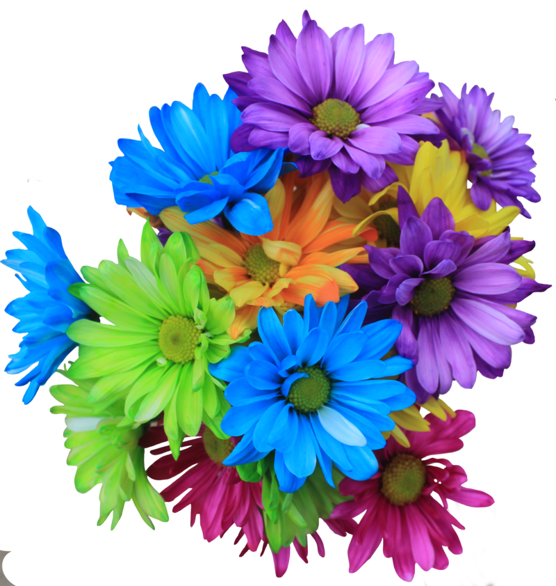 daisy_bouquet_png_by_thy_darkest_hour-d7cdigi.png