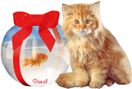 danielchat2.gif